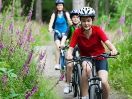 Camping Pas Cher vous présente avec son site Officiel campingpascher.fr, le Camping Paradis - Les Nobis D'Anjou classé 4 étoiles, situé sur la commune de Montreuil Bellay dans le département Maine-et-loire (Pays De La Loire) en France. Le camping Paradis - Les Nobis D'Anjou, vous présente un hébergement de type mobil-home de 29 m² et télévision. Le camping Paradis - Les Nobis D'Anjou vous propose du sam. 12 septembre au sam. 19 septembre 2026, en promotion à -10% pour 7 nuits à 239 € au lieu de 267,0 € soit une Économie de 28 €. Cette location propose 24 dates différentes pour réserver votre séjour. Découvrez également les 16 autres gammes d'hébergements du camping. Les Avis clients pour le Camping Paradis - Les Nobis D'Anjou sont excellents avec une note moyenne de 8 sur 10. Piscine chauffée, Piscine couverte, Animations familiales, Club enfants, Aire de jeux enfants, Baby-foot, Canoë-kayak, Cyclisme, Flipper, Ping-pong, Piscine, Pétanque, Randonnée, Trampoline, Dépôt de pain, Plats à emporter, Snack/Bar, Épicerie,... En savoir plus : cliquez-ICI.