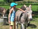Cliquez pour découvrir toutes les photos de l'ÉTABLISSEMENT ! camping Paradis Val De Trie photo 5