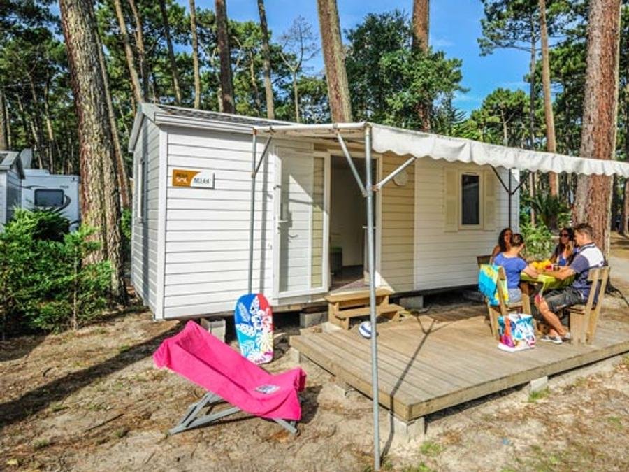 Camping Pas Cher vous présente avec son site Officiel campingpascher.fr, le Camping Le Vieux Port classé 5 étoiles, situé sur la commune de Messanges dans le département Landes (Aquitaine) en France. Le camping Le Vieux Port, vous présente un hébergement de type mobil-home de 18 m² pour 5 personnes et télévision. Le camping Le Vieux Port vous propose du sam. 05 septembre au sam. 12 septembre 2026 pour 7 nuits à 525€. Cette location propose 41 dates différentes pour réserver votre séjour. Découvrez également les 21 autres gammes d'hébergements du camping. Les Avis clients pour le Camping Le Vieux Port sont excellents avec une note moyenne de 8 sur 10. Mer, Parc aquatique, Piscine couverte, Piscine extérieure, Animations familiales, Club ados, Club enfants, Aire de jeux enfants, Canoë-kayak, Centre équestre, Court de padel en extérieur, Court de tennis, Golf, Parcours sportif, Ping-pong, Pétanque, Salle de jeux vidéo, Surf, Terrain de badminton, Terrain de beach-volley, Terrain de football, Terrain de volley-ball, Terrain multisports, Bar, Brasserie, Dépôt de pain, Plats à emporter, Restaurant, Snack/Bar, Épicerie,... En savoir plus : cliquez-ICI.