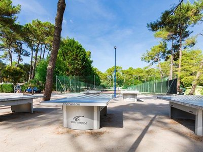 Cliquez pour découvrir toutes les photos de l'ÉTABLISSEMENT ! camping Le Vieux Port photo 26