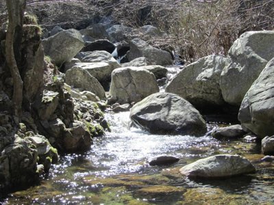 camping Le Ventadour photo 14