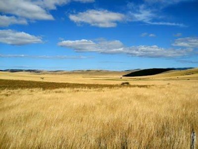 Cliquez pour découvrir toutes les photos de l'ÉTABLISSEMENT ! établissement Aigoual Cévennes photo 15
