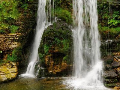 Cliquez pour découvrir toutes les photos de l'ÉTABLISSEMENT ! établissement Aigoual Cévennes photo 18