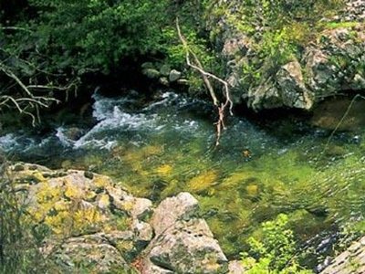 Cliquez pour découvrir toutes les photos de l'ÉTABLISSEMENT ! établissement Aigoual Cévennes photo 19