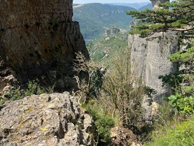 Cliquez pour découvrir toutes les photos de l'ÉTABLISSEMENT ! établissement Aigoual Cévennes photo 9