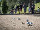 Cliquez pour découvrir toutes les photos de l'ÉTABLISSEMENT ! établissement Aigoual Cévennes photo 5