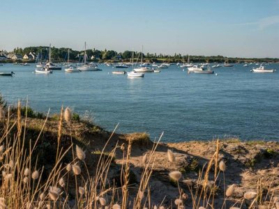 Cliquez pour découvrir toutes les photos de l'ÉTABLISSEMENT ! camping Et Parc Les Goelands photo 21