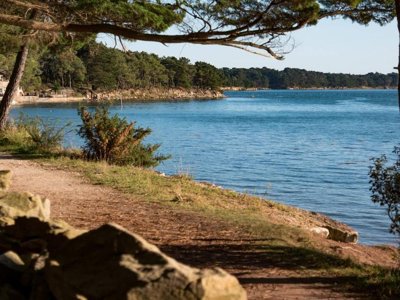 Cliquez pour découvrir toutes les photos de l'ÉTABLISSEMENT ! camping Et Parc Les Goelands photo 30