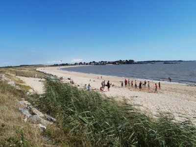 Cliquez pour découvrir toutes les photos de l'ÉTABLISSEMENT ! camping Et Parc Les Goelands photo 8