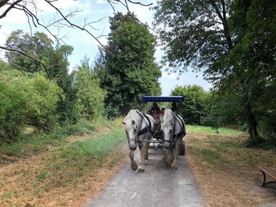 camping Le Parc De Vaux photo 27