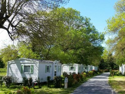 Cliquez pour découvrir toutes les photos de l'ÉTABLISSEMENT ! camping Les 2 Salamandres photo 22