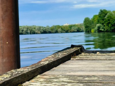 Cliquez pour découvrir toutes les photos de l'ÉTABLISSEMENT ! camping Chateau De Bouafles photo 4