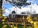 mobil-home - camping Chateau De Bouafles photo 7