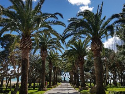 Cliquez pour découvrir toutes les photos de l'ÉTABLISSEMENT ! camping Playa Montroig photo 26