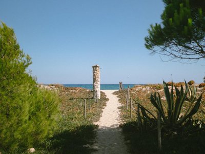 Cliquez pour découvrir toutes les photos de l'ÉTABLISSEMENT ! camping Miramar photo 13