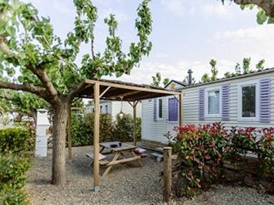 Cliquez pour découvrir toutes les photos de l'HÉBERGEMENT ! mini-maison - Miramar photo 4