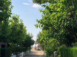 Camping Pas Cher vous présente avec son site Officiel campingpascher.fr, le Camping Miramar, situé sur la commune de Mont-roig Del Camp dans le département Tarragone (Catalogne) en Espagne. Le camping Miramar, vous présente un hébergement de type caravane de 10 m² pour 2 personnes. Le camping Miramar vous propose du sam. 14 mars au sam. 21 mars 2026 pour 7 nuits à 368.48€. Cette location propose 119 dates différentes pour réserver votre séjour. Découvrez également les 40 autres gammes d'hébergements du camping. Les Avis clients pour le Camping Miramar sont excellents avec une note moyenne de 8 sur 10. Mer, Animation enfants, Animations familiales, Aire de jeux enfants, Terrain de beach-volley, Terrain de football, Bar, Restaurant, Épicerie,... En savoir plus : cliquez-ICI.