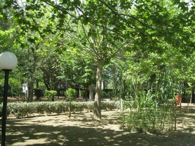 camping Le Rebau photo 11