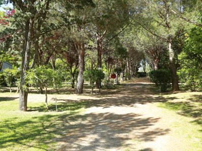 camping Le Rebau photo 13