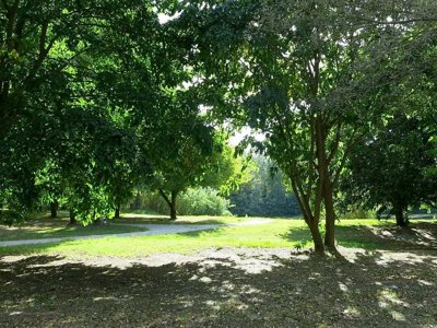 Cliquez pour découvrir toutes les photos de l'ÉTABLISSEMENT ! camping Paradis Bellerive photo 13