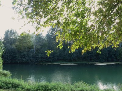Cliquez pour découvrir toutes les photos de l'ÉTABLISSEMENT ! camping Paradis Bellerive photo 14