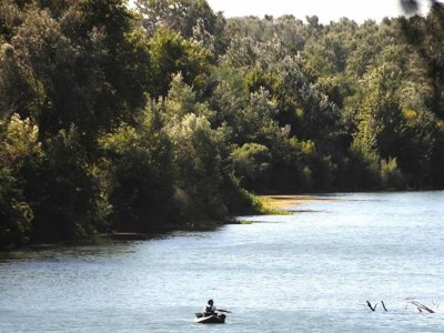 Cliquez pour découvrir toutes les photos de l'ÉTABLISSEMENT ! camping Paradis Bellerive photo 21