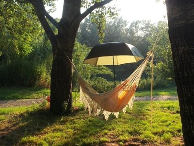Cliquez pour découvrir toutes les photos de l'ÉTABLISSEMENT ! camping Paradis Bellerive photo 5