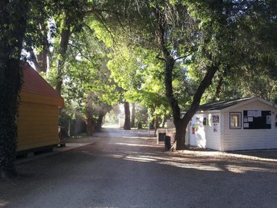 Cliquez pour découvrir toutes les photos de l'ÉTABLISSEMENT ! camping Paradis Bellerive photo 8
