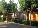 Camping Pas Cher vous présente avec son site Officiel campingpascher.fr, le Camping Playa Y Fiesta, situé sur la commune de Mont-roig Del Camp dans le département Tarragone (Catalogne) en Espagne. Le camping Playa Y Fiesta, vous présente un hébergement de type bungalow de 32 m² et télévision. Le camping Playa Y Fiesta vous propose du lundi 12 octobre au lundi 19 octobre 2026, en promotion à -15% pour 7 nuits à 492,30 € au lieu de 579,18 € soit une Économie de 86,88 €. Cette location propose 170 dates différentes pour réserver votre séjour. Découvrez également les 3 autres gammes d'hébergements du camping. Les Avis clients pour le Camping Playa Y Fiesta sont excellents avec une note moyenne de 9 sur 10. Mer, Piscine extérieure, Animations familiales, Club enfants, Aire de jeux enfants, Baby-foot, Cyclisme, Ping-pong, Piscine, Pétanque, Randonnée, Terrain de football, Terrain de volley-ball, Terrain multisports, Bar, Restaurant, Snack/Bar, Supermarché,... En savoir plus : cliquez-ICI.