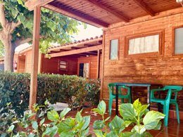 Camping Pas Cher vous présente avec son site Officiel campingpascher.fr, le Camping Playa Y Fiesta, situé sur la commune de Mont-roig Del Camp dans le département Tarragone (Catalogne) en Espagne. Le camping Playa Y Fiesta, vous présente un hébergement de type bungalow de 24 m² et télévision. Le camping Playa Y Fiesta vous propose du lundi 12 octobre au lundi 19 octobre 2026, en promotion à -15% pour 7 nuits à 392,58 € au lieu de 461,86 € soit une Économie de 69,28 €. Cette location propose 208 dates différentes pour réserver votre séjour. Découvrez également les 3 autres gammes d'hébergements du camping. Les Avis clients pour le Camping Playa Y Fiesta sont excellents avec une note moyenne de 9 sur 10. Mer, Piscine extérieure, Animations familiales, Club enfants, Aire de jeux enfants, Baby-foot, Cyclisme, Ping-pong, Piscine, Pétanque, Randonnée, Terrain de football, Terrain de volley-ball, Terrain multisports, Bar, Restaurant, Snack/Bar, Supermarché,... En savoir plus : cliquez-ICI.