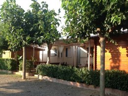 Camping Pas Cher vous présente avec son site Officiel campingpascher.fr, le Camping Playa Y Fiesta, situé sur la commune de Mont-roig Del Camp dans le département Tarragone (Catalogne) en Espagne. Le camping Playa Y Fiesta, vous présente un hébergement de type bungalow de 32 m² et télévision. Le camping Playa Y Fiesta vous propose du lundi 12 octobre au lundi 19 octobre 2026, en promotion à -15% pour 7 nuits à 492,30 € au lieu de 579,18 € soit une Économie de 86,88 €. Cette location propose 170 dates différentes pour réserver votre séjour. Découvrez également les 3 autres gammes d'hébergements du camping. Les Avis clients pour le Camping Playa Y Fiesta sont excellents avec une note moyenne de 9 sur 10. Mer, Piscine extérieure, Animations familiales, Club enfants, Aire de jeux enfants, Baby-foot, Cyclisme, Ping-pong, Piscine, Pétanque, Randonnée, Terrain de football, Terrain de volley-ball, Terrain multisports, Bar, Restaurant, Snack/Bar, Supermarché,... En savoir plus : cliquez-ICI.