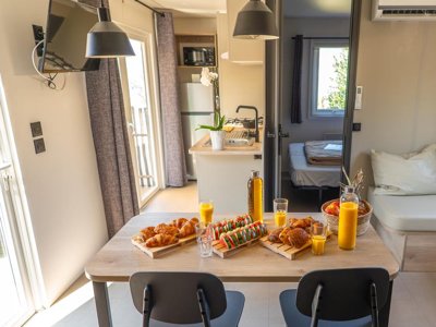 Cliquez pour découvrir toutes les photos de l'HÉBERGEMENT ! mobil-home - La Lagune photo 2