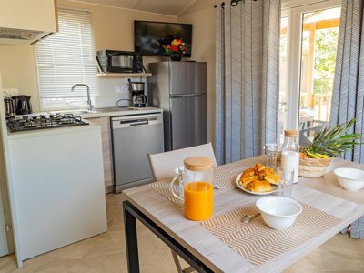 Cliquez pour découvrir toutes les photos de l'HÉBERGEMENT ! mobil-home - La Lagune photo 2