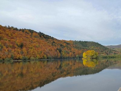 Cliquez pour découvrir toutes les photos de l'ÉTABLISSEMENT ! camping Domaine Du Lac De Chambon photo 24