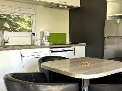 mobil-home - Domaine Du Lac De Chambon photo 5