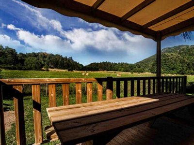 Cliquez pour découvrir toutes les photos de l'HÉBERGEMENT ! mobil-home - Paradis - L'Europe photo 10