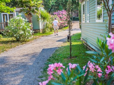 camping Sites Et Paysages - Les Pinèdes photo 28