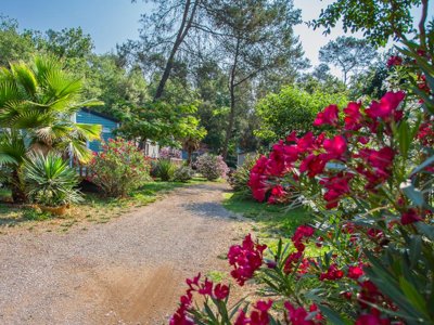 camping Sites Et Paysages - Les Pinèdes photo 29