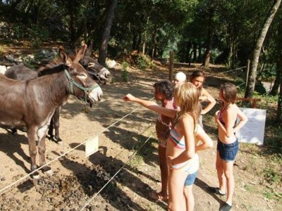 camping Sites Et Paysages - Les Pinèdes photo 9