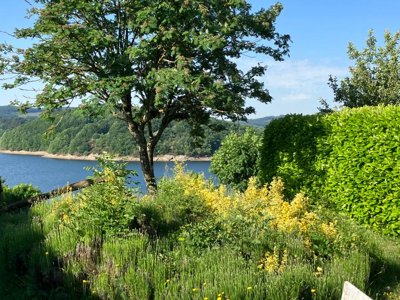 Cliquez pour découvrir toutes les photos de l'ÉTABLISSEMENT ! camping Les Rives Du Lac Du Laouzas photo 11