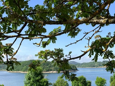 Cliquez pour découvrir toutes les photos de l'ÉTABLISSEMENT ! camping Les Rives Du Lac Du Laouzas photo 12