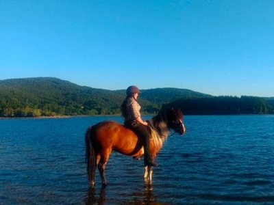Cliquez pour découvrir toutes les photos de l'ÉTABLISSEMENT ! camping Les Fées Du Lac photo 17