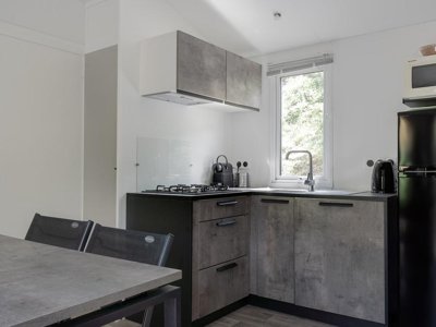 Cliquez pour découvrir toutes les photos de l'HÉBERGEMENT ! mobil-home - RCN Val De Cantobre photo 3