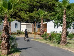 Camping Pas Cher vous présente avec son site Officiel campingpascher.fr, le Camping Club La Côte Des Roses 4* - MS VACANCES classé 4 étoiles, situé sur la commune de Narbonne Plage dans le département Aude (Languedoc Roussillon) en France. Le camping Club La Côte Des Roses 4* - MS VACANCES vous propose un hébergement de type mobil-home de 40 m² pour 8 personnes avec climatisation (télévision). L'établissement vous propose 25 autres types d'hébergements. Découvrez tous nos séjours à petits prix dans la commune et aux alentours de Narbonne Plage du département : Aude (Languedoc Roussillon). Les Avis clients pour le Camping Club La Côte Des Roses 4* - MS VACANCES sont excellents avec une note moyenne de 8 sur 10. MerRivière, Piscine chauffée, Piscine extérieure, Animations familiales, Club ados, Club enfants, Aire de jeux enfants, Canoë-kayak, Centre équestre, Cyclisme, Ping-pong, Plongée, Pétanque, Salle de fitness, Structure gonflable enfants, Surf, Terrain de volley-ball, Terrain multisports, Tir à l’arc, Bar, Restaurant, Snack/Bar, Supermarché, Épicerie,... En savoir plus : cliquez-ICI.