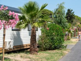 Camping Pas Cher vous présente avec son site Officiel campingpascher.fr, le Camping Club La Côte Des Roses 4* - MS VACANCES classé 4 étoiles, situé sur la commune de Narbonne Plage dans le département Aude (Languedoc Roussillon) en France. Le camping Club La Côte Des Roses 4* - MS VACANCES, vous présente un hébergement de type mobil-home de 25 m² pour 4 personnes avec climatisation et télévision. Le camping Club La Côte Des Roses 4* - MS VACANCES vous propose du sam. 30 mai au sam. 06 juin 2026, en promotion à -25% pour 7 nuits à 273 € au lieu de 364,0 € soit une Économie de 91 €. Cette location propose 73 dates différentes pour réserver votre séjour. Découvrez également les 25 autres gammes d'hébergements du camping. Les Avis clients pour le Camping Club La Côte Des Roses 4* - MS VACANCES sont excellents avec une note moyenne de 8 sur 10. MerRivière, Piscine chauffée, Piscine extérieure, Animations familiales, Club ados, Club enfants, Aire de jeux enfants, Canoë-kayak, Centre équestre, Cyclisme, Ping-pong, Plongée, Pétanque, Salle de fitness, Structure gonflable enfants, Surf, Terrain de volley-ball, Terrain multisports, Tir à l’arc, Bar, Restaurant, Snack/Bar, Supermarché, Épicerie,... En savoir plus : cliquez-ICI.