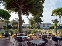 Camping Pas Cher vous présente avec son site Officiel campingpascher.fr, le Camping Club La Côte Des Roses 4* - MS VACANCES classé 4 étoiles, situé sur la commune de Narbonne Plage dans le département Aude (Languedoc Roussillon) en France. Le camping Club La Côte Des Roses 4* - MS VACANCES, vous présente un hébergement de type mobil-home de 31 m² avec climatisation et télévision. Le camping Club La Côte Des Roses 4* - MS VACANCES vous proposeun séjour PAS CHER avec une REMISEdu sam. 09 mai au sam. 16 mai 2026, en promotion à -37% pour 7 nuits à 279 € au lieu de 443,0 € soit une Économie de 164 €. Cette location propose 13 dates différentes pour réserver votre séjour. Découvrez également les 25 autres gammes d'hébergements du camping. Les Avis clients pour le Camping Club La Côte Des Roses 4* - MS VACANCES sont excellents avec une note moyenne de 8 sur 10. MerRivière, Piscine chauffée, Piscine extérieure, Animations familiales, Club ados, Club enfants, Aire de jeux enfants, Canoë-kayak, Centre équestre, Cyclisme, Ping-pong, Plongée, Pétanque, Salle de fitness, Structure gonflable enfants, Surf, Terrain de volley-ball, Terrain multisports, Tir à l’arc, Bar, Restaurant, Snack/Bar, Supermarché, Épicerie,... En savoir plus : cliquez-ICI.