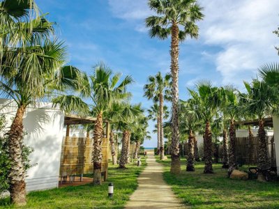 camping Alannia Els Prats photo 3