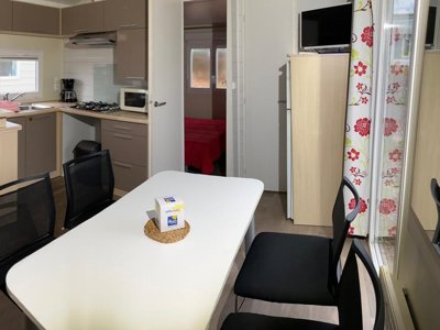 mobil-home - Flower Le Port De Neuvic photo 3