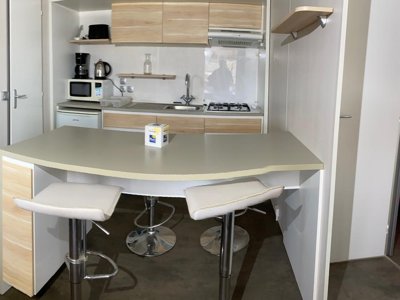 Cliquez pour découvrir toutes les photos de l'HÉBERGEMENT ! mobil-home - Flower Le Port De Neuvic photo 7