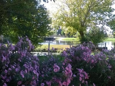 Cliquez pour découvrir toutes les photos de l'ÉTABLISSEMENT ! camping Plein Air Neuvicois photo 16